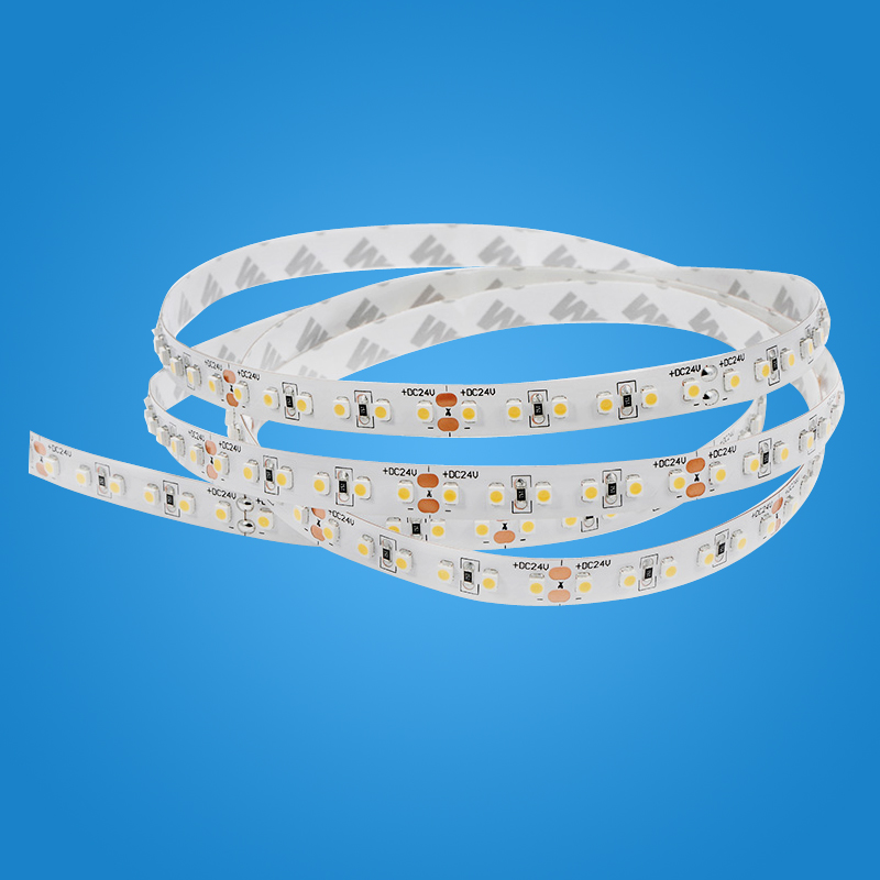 3528 120Leds Strips